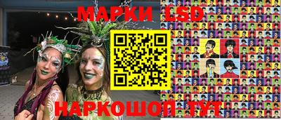 прущие грибы Краснодар