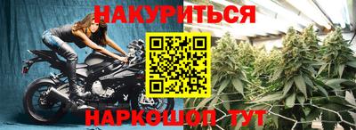 прущие грибы Краснодар