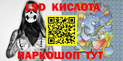 прущие грибы Краснодар